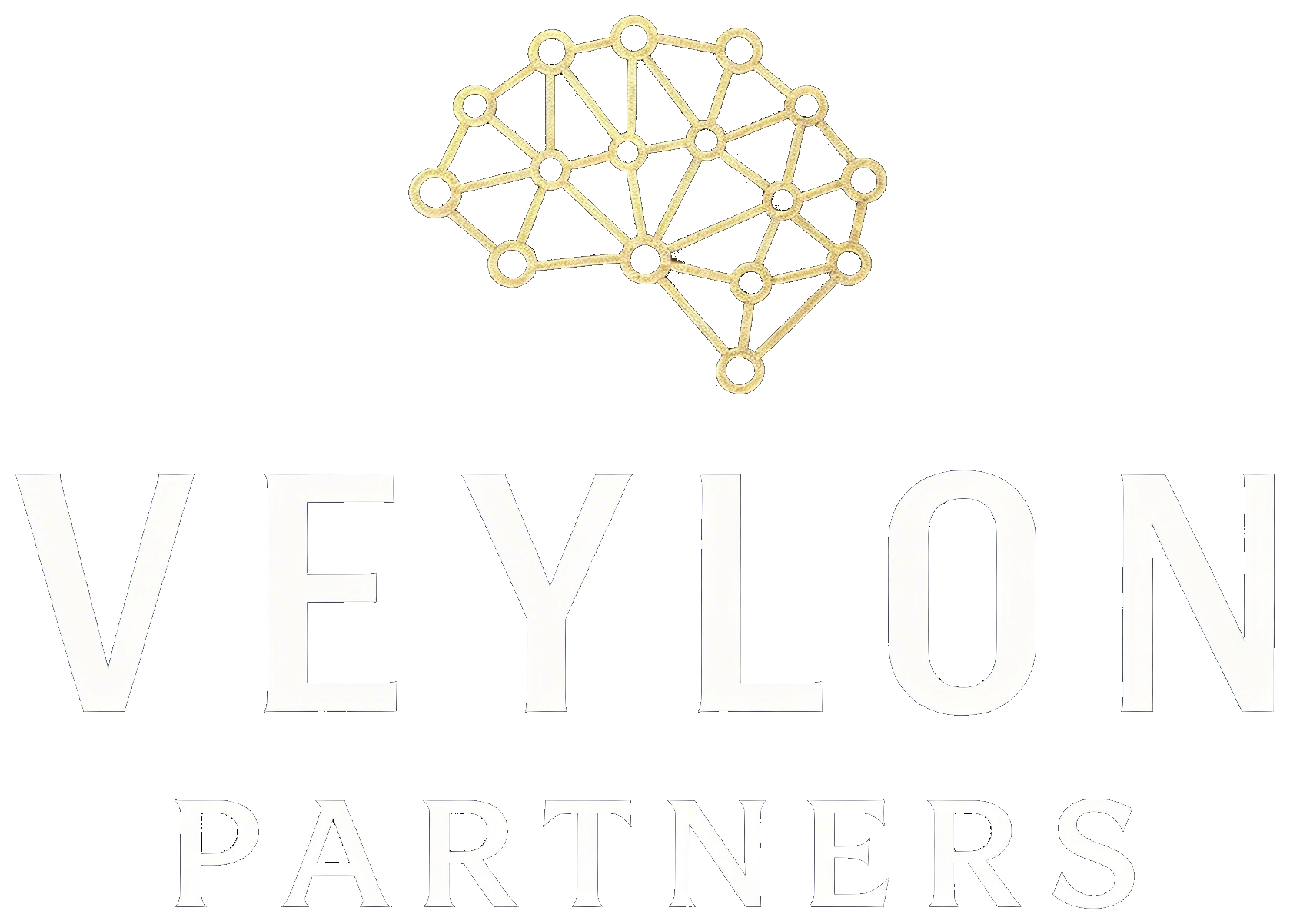Veylon Partners